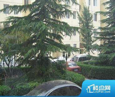 草溜社区新地址，时代变迁中的社区发展与脉络