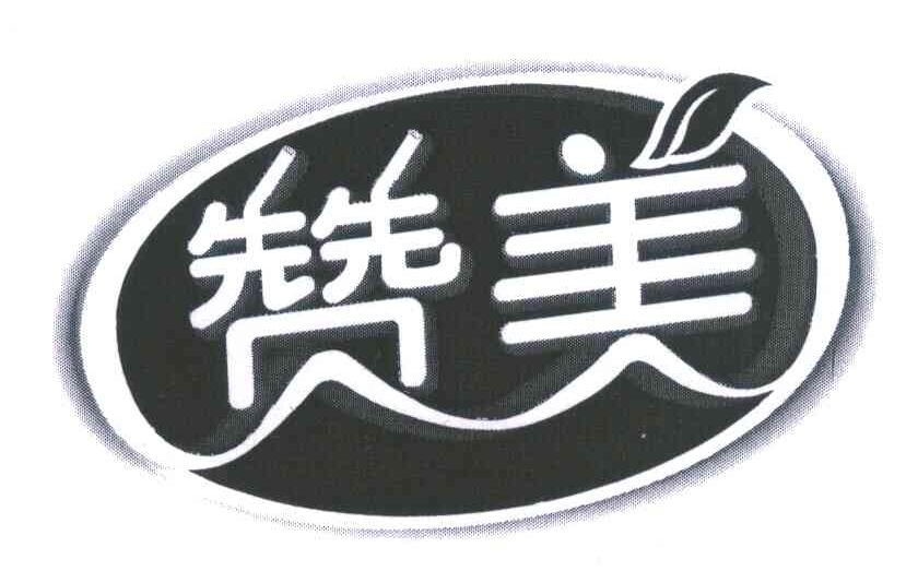 美赞新篇,美赞新篇，领略高科技产品的未来之光