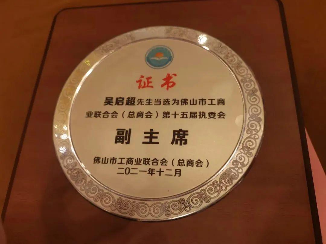 天安新材股票投资潜力与前景展望分析