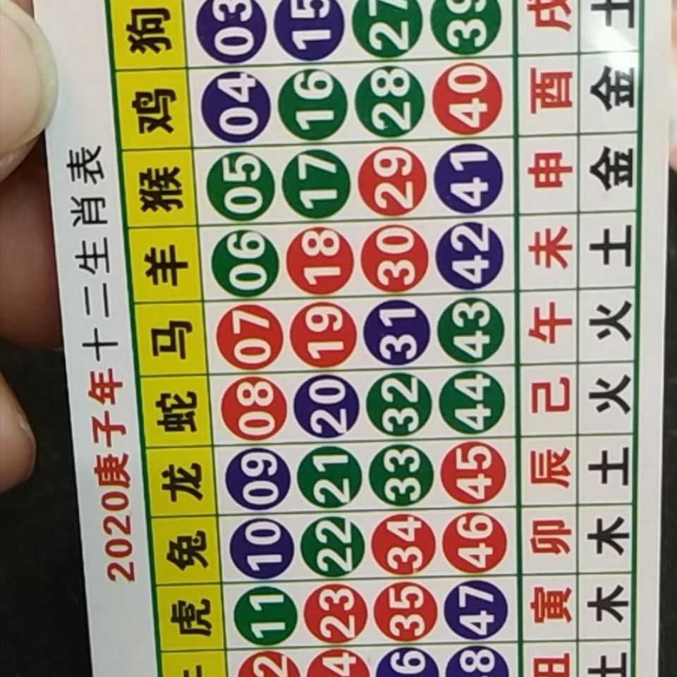 生肖波色卡故事，友情与陪伴的奇妙旅程