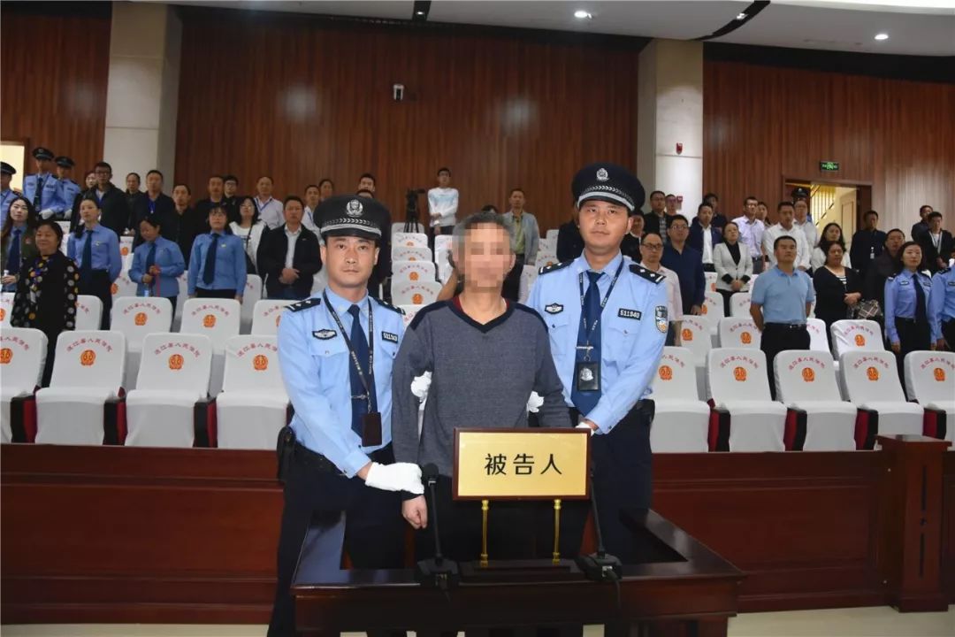 太子辉判刑最新消息，心灵之旅启程之际