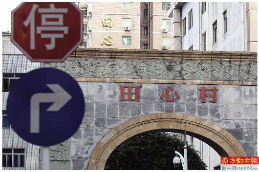 田心村科技重塑乡村，最新消息与未来生活体验