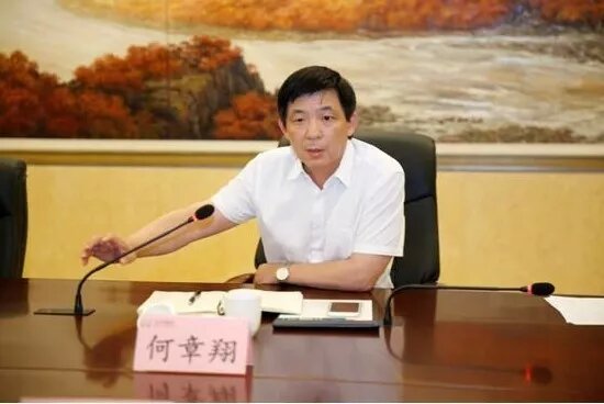 镇江雷志强的最新任职，多维度视角下的深入探讨