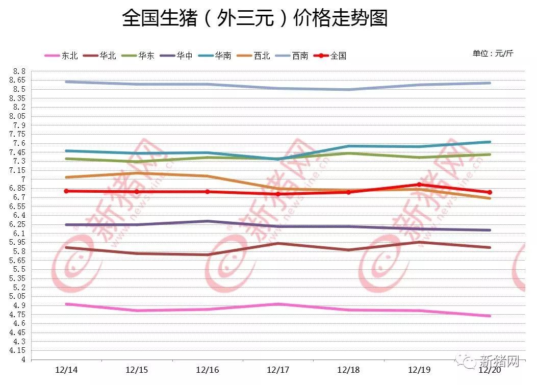 生猪最新动态,生猪最新动态，科技引领畜牧业革新
