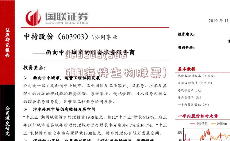 603903股票投资全攻略，从初学者到进阶用户的实战指南