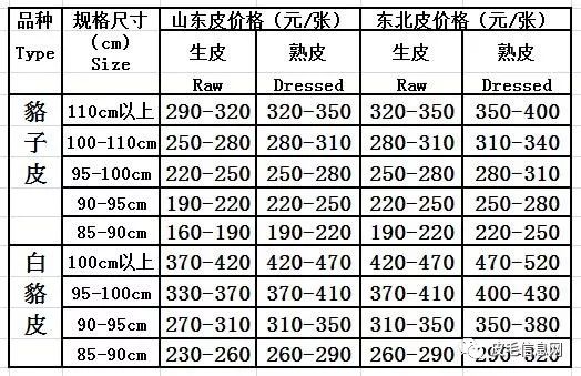 尚村狐狸皮格行情及情缘揭秘