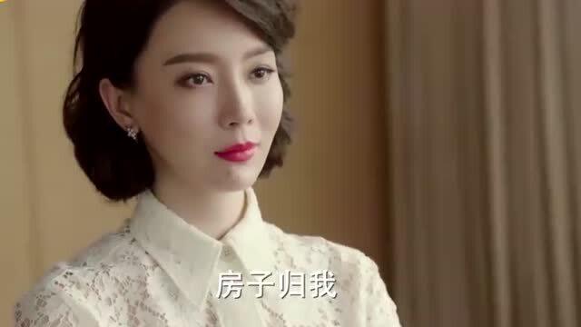 我的完美总裁老婆最新章节，都市情感新篇章探寻