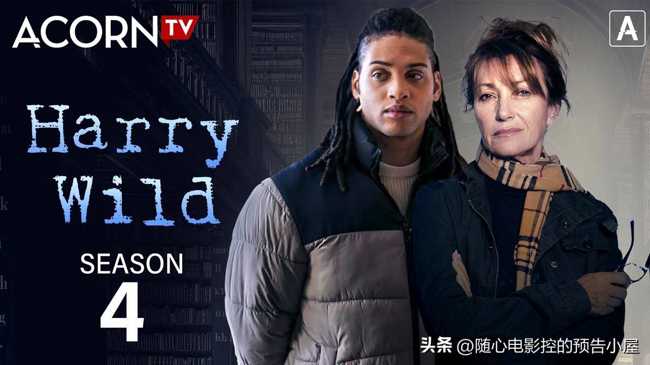 2025年最新电影深度解析，我的观影体验与见解