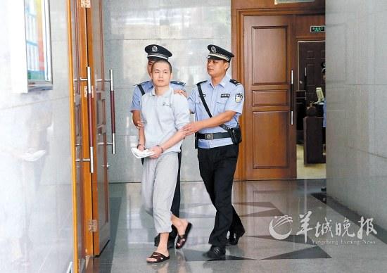 深圳2025年最新杀人案揭秘