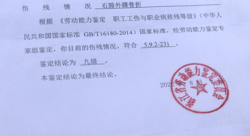 最新九级伤残赔偿标准，探索自然美景中的治愈与赔偿之旅